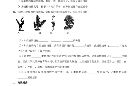 专题3.1.1藻类、苔藓和蕨类植物（原卷版）_初中全科电子版试卷练习试题_生物_生物人教版7上练习&mdash;24新版已更新_人教生物7年级上课时练习39份