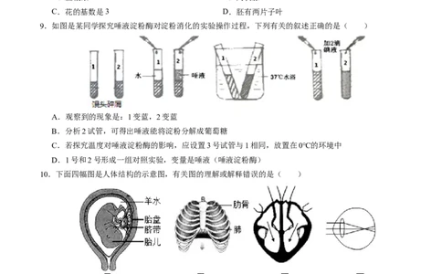 2024年中考押题预测卷01（辽宁卷）-生物（考试版A4）_初中全科电子版试卷练习试题_生物_2024中考模拟题生物(1)_押题预测