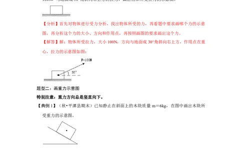 专题05几种力的作图（解析版）_初中全科电子版试卷练习试题_物理_8年级下册物理试题_人教版物理八年级下专项练习（029份）
