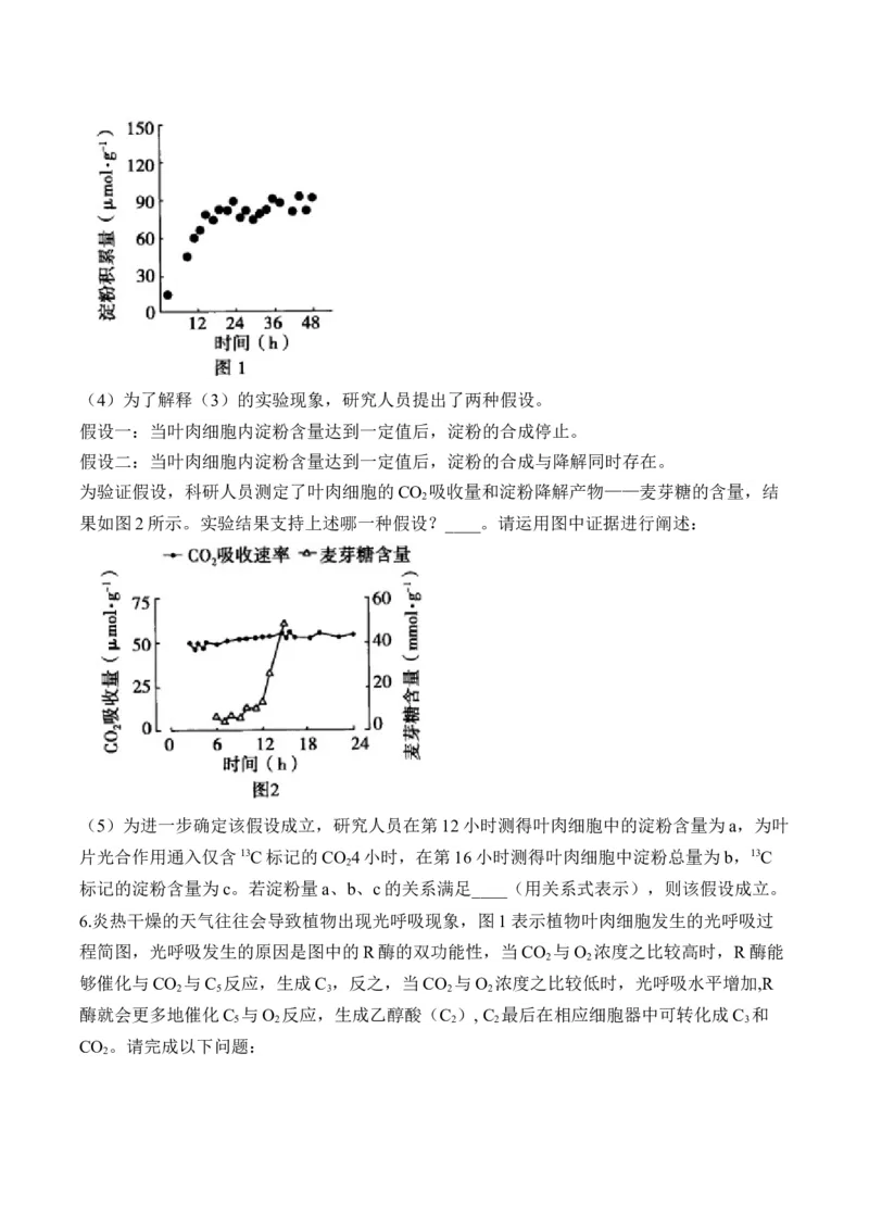专题3细胞代谢（非选择题）&mdash;&mdash;2025届高考生物学模块分练新高考版（含解析）_2025年新高考资料_二轮复习_新高考版2025届高考生物学模块分练选择题与非选择题（含解析）