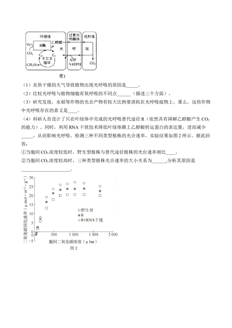 专题3细胞代谢（非选择题）&mdash;&mdash;2025届高考生物学模块分练新高考版（含解析）_2025年新高考资料_二轮复习_新高考版2025届高考生物学模块分练选择题与非选择题（含解析）