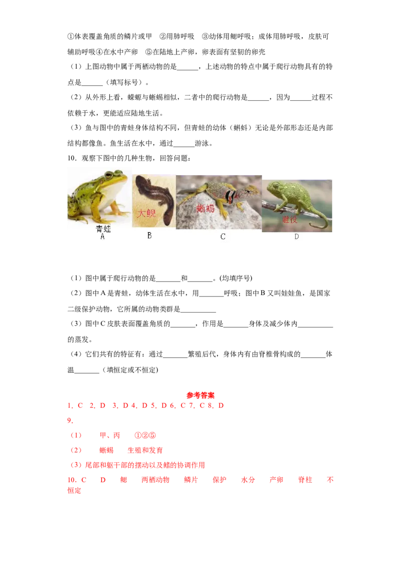 5.1.5两栖动物和爬行动物（练习）（原卷版）_初中全科电子版试卷练习试题_生物_生物8上练习_人教生物8年级上课时练习37份_第1套八年级生物上册课时练习（人教版）16份