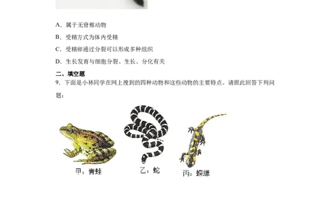 5.1.5两栖动物和爬行动物（练习）（原卷版）_初中全科电子版试卷练习试题_生物_生物8上练习_人教生物8年级上课时练习37份_第1套八年级生物上册课时练习（人教版）16份