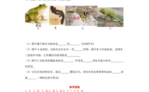 5.1.5两栖动物和爬行动物（练习）（原卷版）_初中全科电子版试卷练习试题_生物_生物8上练习_人教生物8年级上课时练习37份_第1套八年级生物上册课时练习（人教版）16份