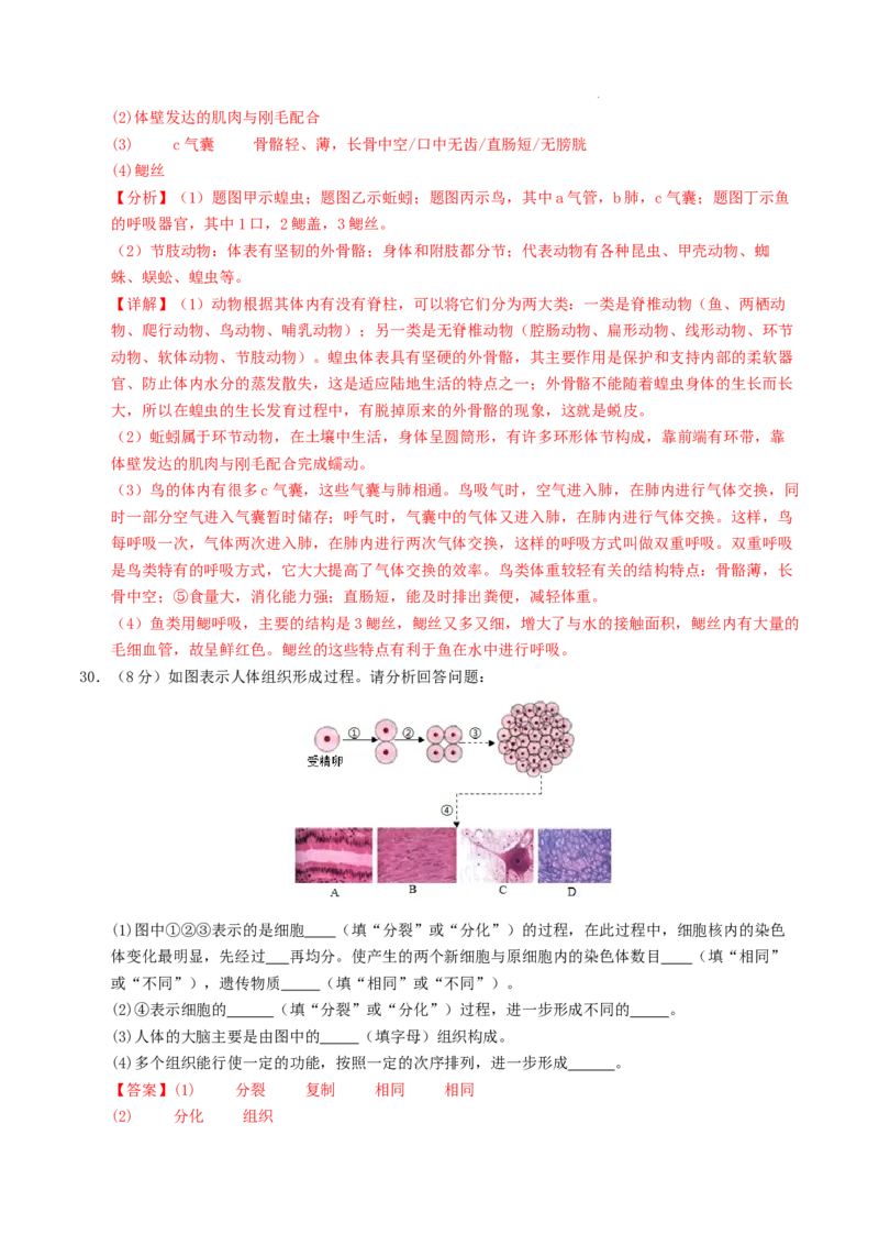 七年级生物期末模拟卷（全解全析）_初中全科电子版试卷练习试题_生物_生物人教版7上练习&mdash;24新版已更新_人教生物7年级上期末试卷11份