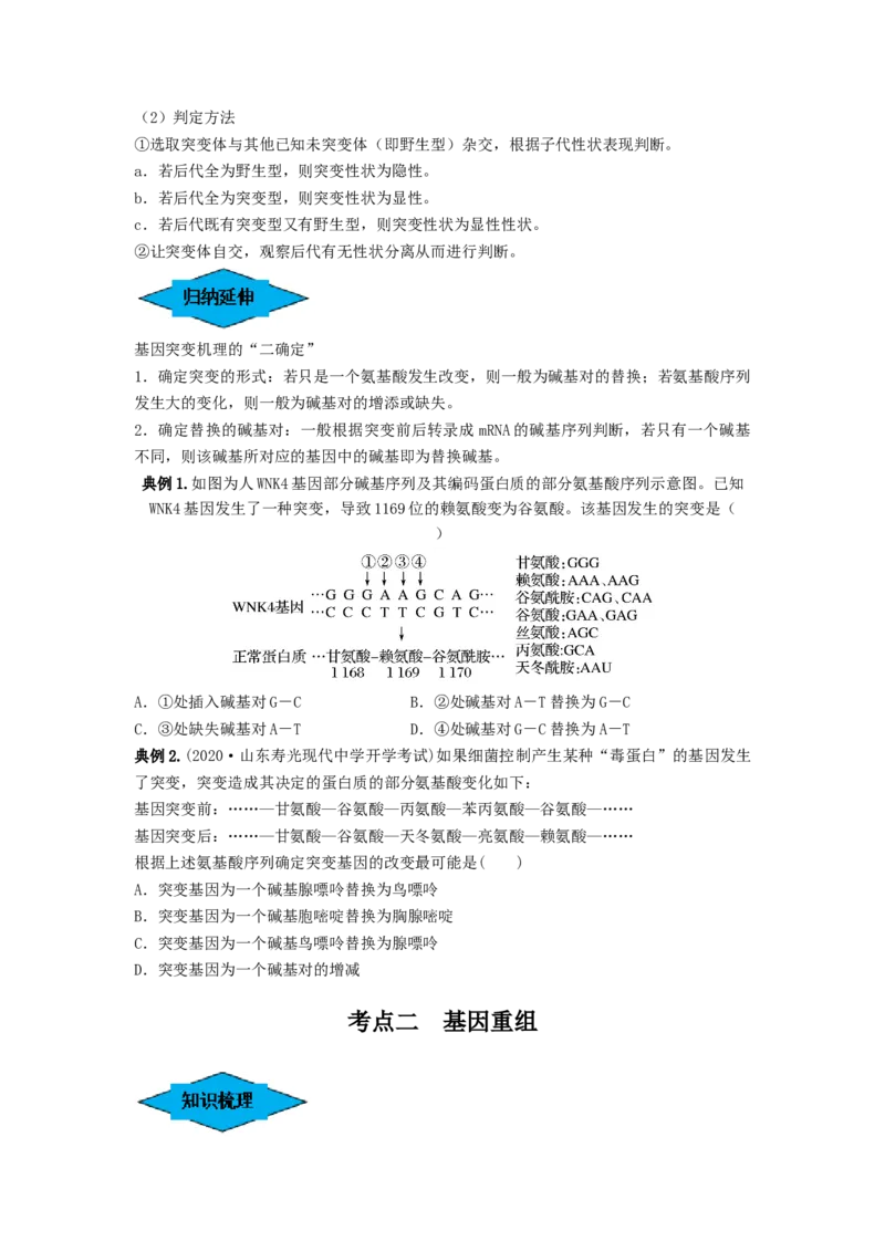 专题20基因突变和基因重组（串讲）（原卷版）_新高考复习资料_2024年新高考复习资料_一轮复习资料_完备战2024年高考生物一轮复习串讲精练（新高考专用）_串讲