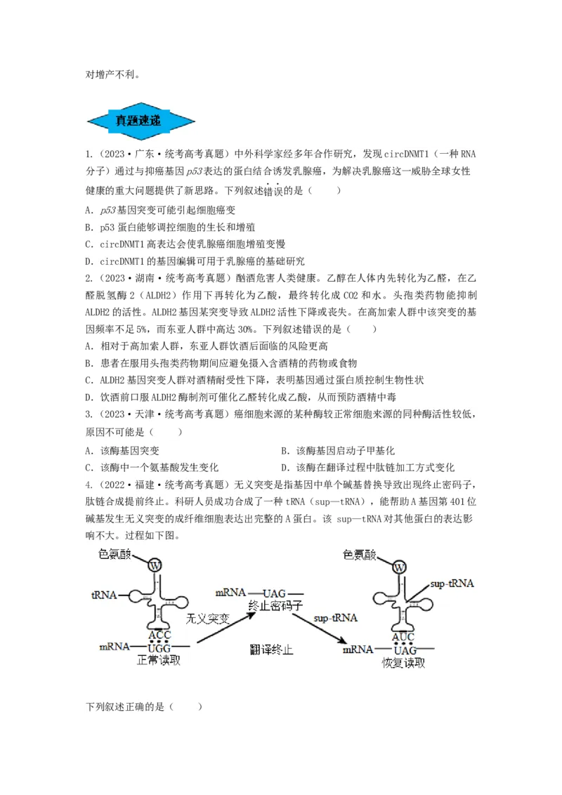 专题20基因突变和基因重组（串讲）（原卷版）_新高考复习资料_2024年新高考复习资料_一轮复习资料_完备战2024年高考生物一轮复习串讲精练（新高考专用）_串讲