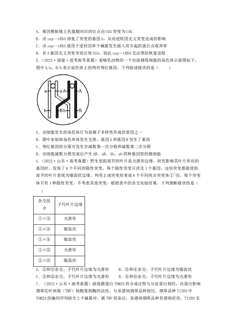 专题20基因突变和基因重组（串讲）（原卷版）_新高考复习资料_2024年新高考复习资料_一轮复习资料_完备战2024年高考生物一轮复习串讲精练（新高考专用）_串讲