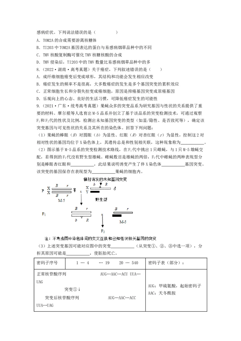 专题20基因突变和基因重组（串讲）（原卷版）_新高考复习资料_2024年新高考复习资料_一轮复习资料_完备战2024年高考生物一轮复习串讲精练（新高考专用）_串讲