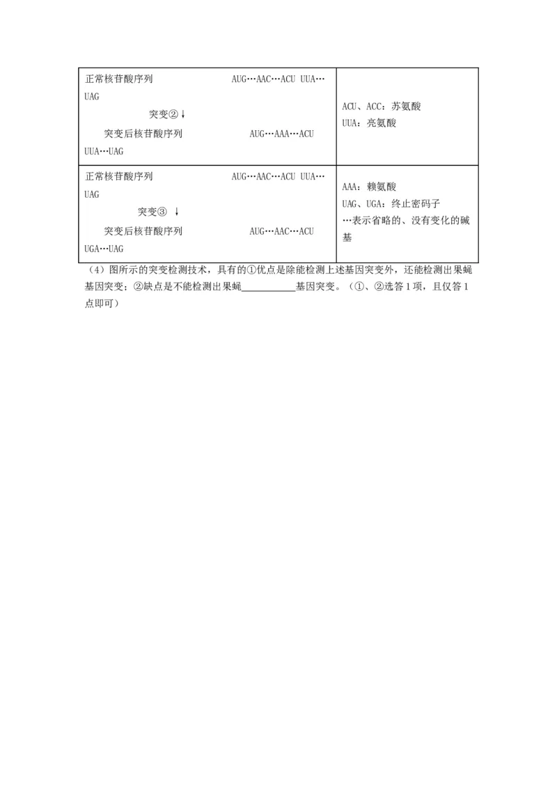 专题20基因突变和基因重组（串讲）（原卷版）_新高考复习资料_2024年新高考复习资料_一轮复习资料_完备战2024年高考生物一轮复习串讲精练（新高考专用）_串讲