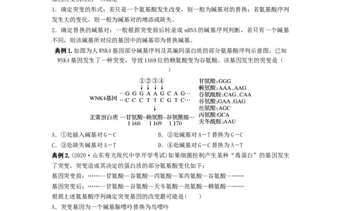 专题20基因突变和基因重组（串讲）（原卷版）_新高考复习资料_2024年新高考复习资料_一轮复习资料_完备战2024年高考生物一轮复习串讲精练（新高考专用）_串讲