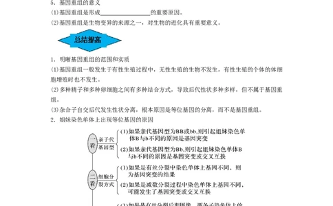 专题20基因突变和基因重组（串讲）（原卷版）_新高考复习资料_2024年新高考复习资料_一轮复习资料_完备战2024年高考生物一轮复习串讲精练（新高考专用）_串讲
