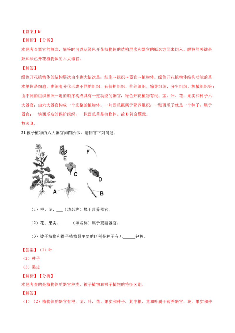专题2.2.3植物体的结构层次（解析版）_初中全科电子版试卷练习试题_生物_生物人教版7上练习&mdash;24新版已更新_人教生物7年级上课时练习39份