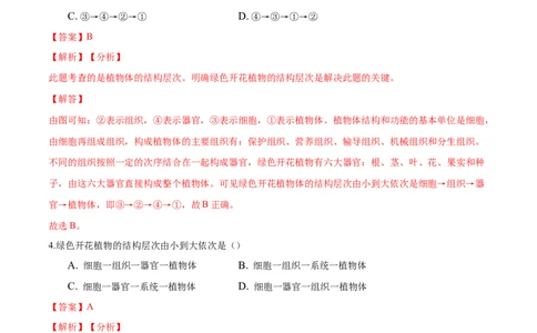 专题2.2.3植物体的结构层次（解析版）_初中全科电子版试卷练习试题_生物_生物人教版7上练习&mdash;24新版已更新_人教生物7年级上课时练习39份