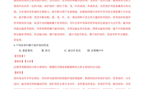 专题2.2.3植物体的结构层次（解析版）_初中全科电子版试卷练习试题_生物_生物人教版7上练习&mdash;24新版已更新_人教生物7年级上课时练习39份