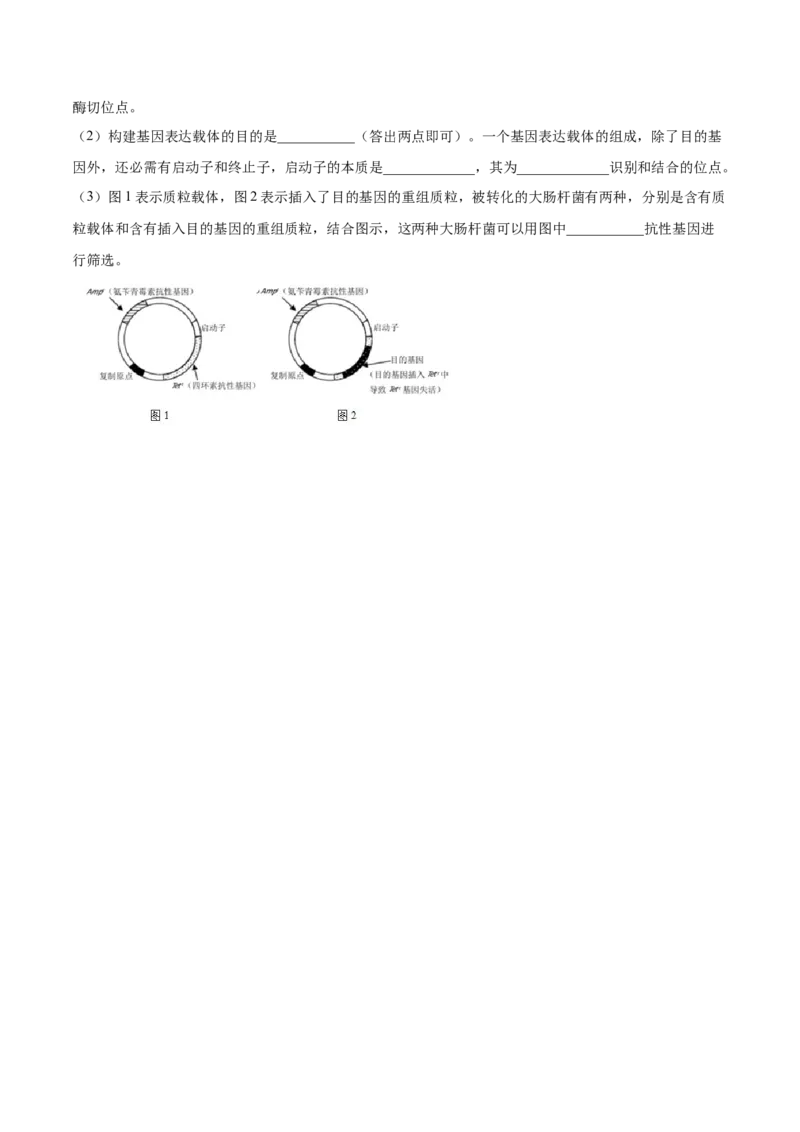 专题19现代生物科技专题-2021年高考真题和模拟题生物分项汇编（原卷版）_新高考复习资料_2022年新高考复习资料_2021年高考真题和模拟题生物分项汇编7.30更新