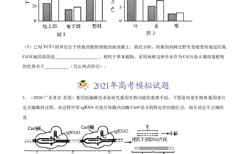 专题19现代生物科技专题-2021年高考真题和模拟题生物分项汇编（原卷版）_新高考复习资料_2022年新高考复习资料_2021年高考真题和模拟题生物分项汇编7.30更新