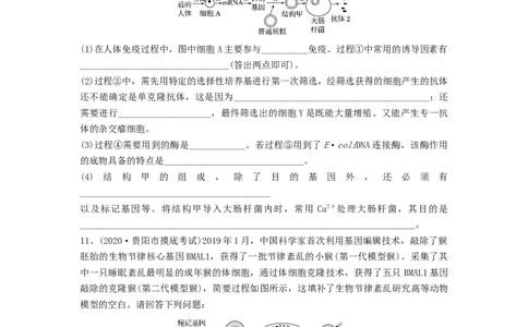 专题33细胞工程和胚胎工程（精练）（原卷版）_新高考复习资料_2024年新高考复习资料_一轮复习资料_完备战2024年高考生物一轮复习串讲精练（新高考专用）_精练