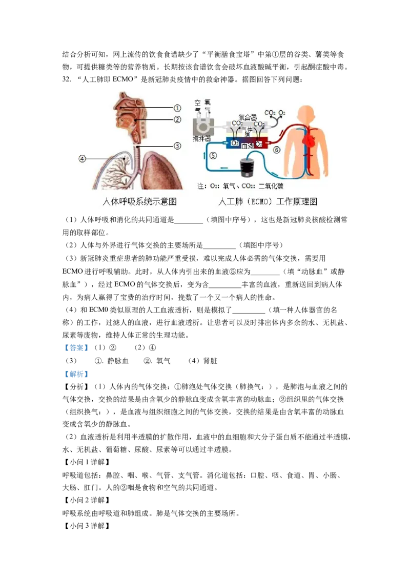 七年级下学期期末生物试题2（解析版）_初中全科电子版试卷练习试题_生物_生物人教版7下练习_人教生物7年级下期末试卷11份