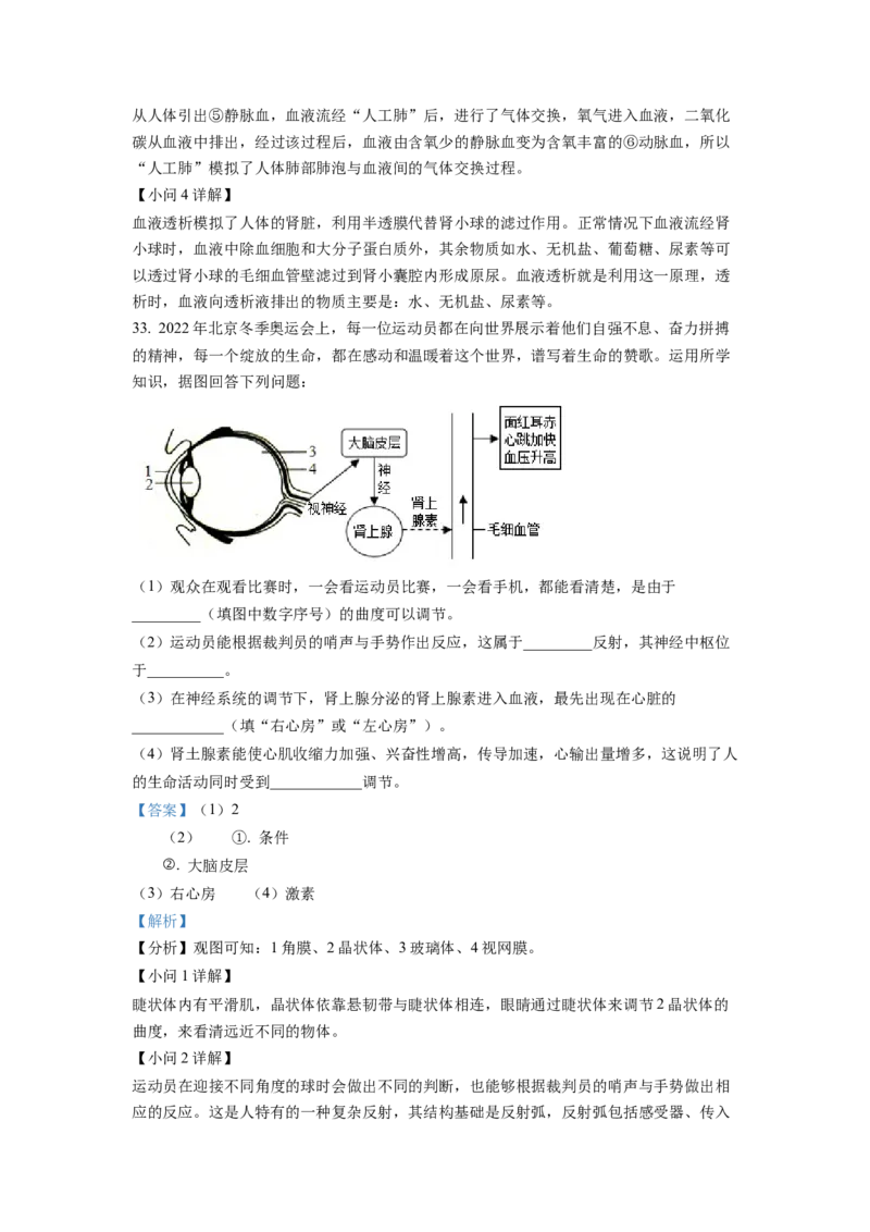 七年级下学期期末生物试题2（解析版）_初中全科电子版试卷练习试题_生物_生物人教版7下练习_人教生物7年级下期末试卷11份