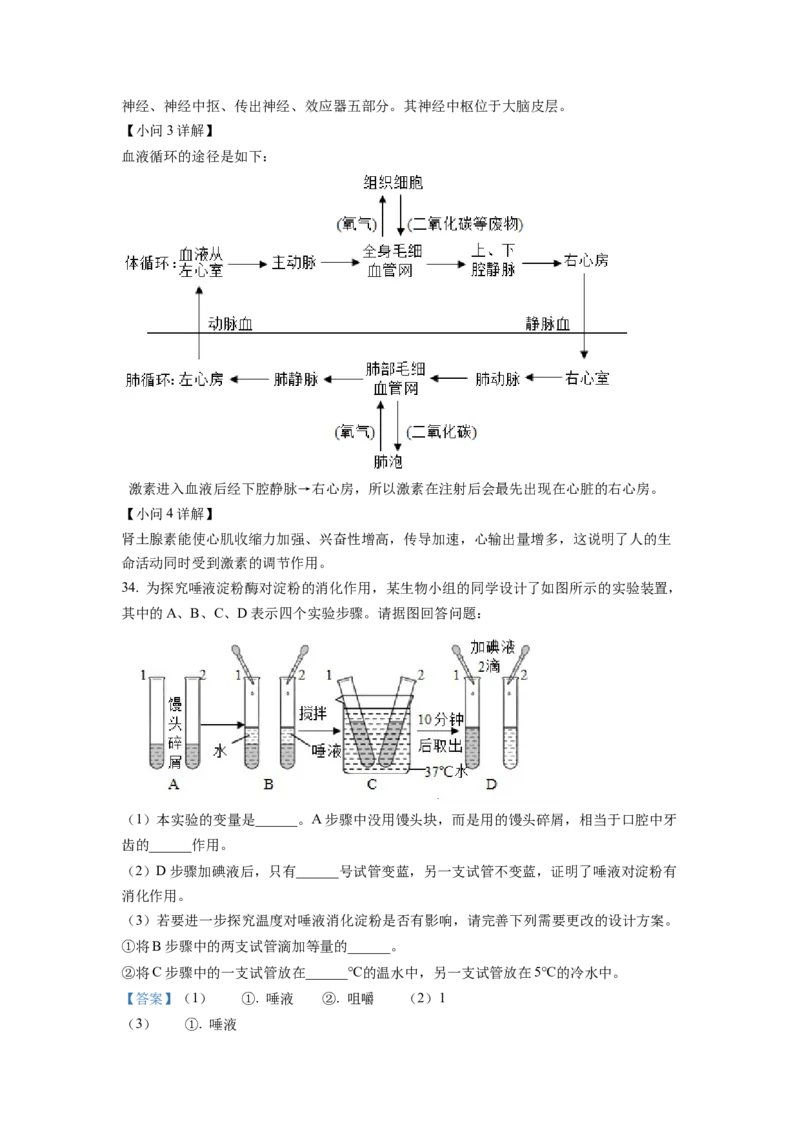 七年级下学期期末生物试题2（解析版）_初中全科电子版试卷练习试题_生物_生物人教版7下练习_人教生物7年级下期末试卷11份
