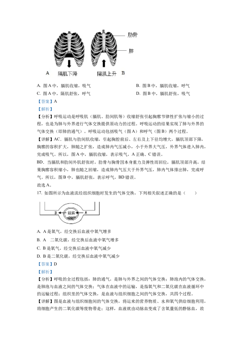 七年级下学期期末生物试题2（解析版）_初中全科电子版试卷练习试题_生物_生物人教版7下练习_人教生物7年级下期末试卷11份
