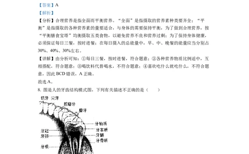 七年级下学期期末生物试题2（解析版）_初中全科电子版试卷练习试题_生物_生物人教版7下练习_人教生物7年级下期末试卷11份
