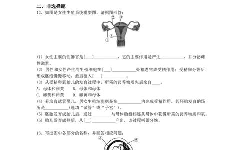 4.1.2人的生殖-（人教版）（原卷版）_初中全科电子版试卷练习试题_生物_生物人教版7下练习_人教生物7年级下课时练习40份_第1套七年级生物下册课时练习（人教版）20份