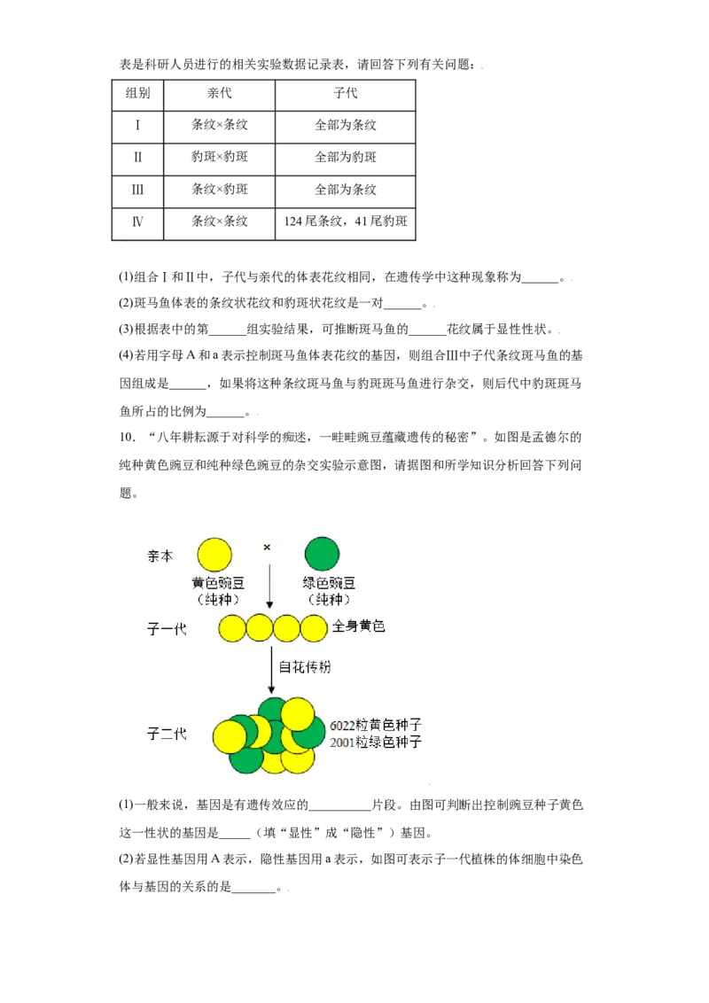 7.2.3基因的显性和隐性（练习）-（人教版）（原卷版）_初中全科电子版试卷练习试题_生物_生物8下练习_人教生物8年级下课时练习51份