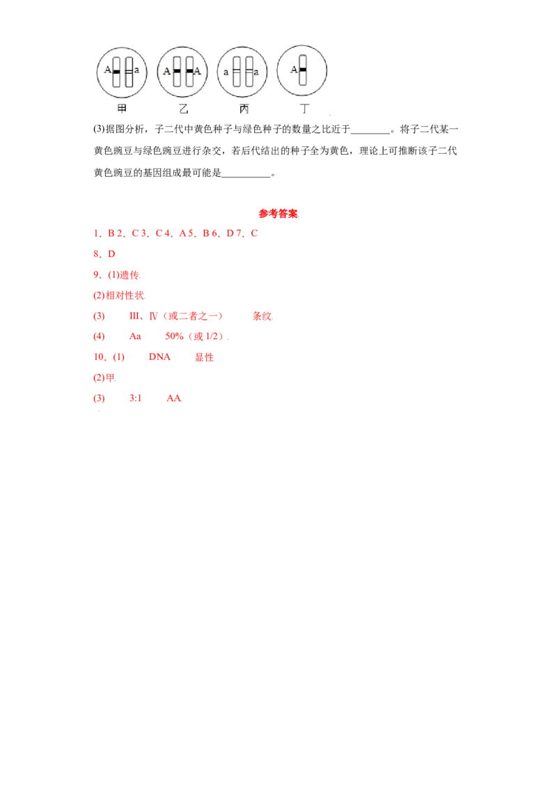 7.2.3基因的显性和隐性（练习）-（人教版）（原卷版）_初中全科电子版试卷练习试题_生物_生物8下练习_人教生物8年级下课时练习51份