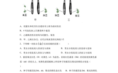 7.2.3基因的显性和隐性（练习）-（人教版）（原卷版）_初中全科电子版试卷练习试题_生物_生物8下练习_人教生物8年级下课时练习51份