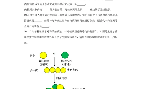 7.2.3基因的显性和隐性（练习）-（人教版）（原卷版）_初中全科电子版试卷练习试题_生物_生物8下练习_人教生物8年级下课时练习51份