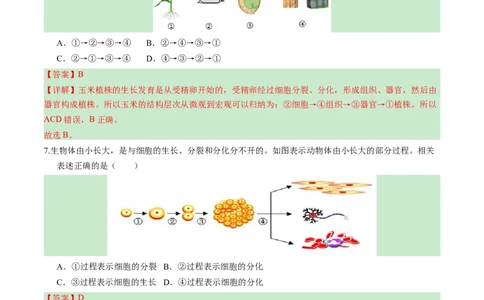 2024年中考押题预测卷（广州卷）-生物（全解全析）_初中全科电子版试卷练习试题_生物_2024中考模拟题生物(1)_押题预测