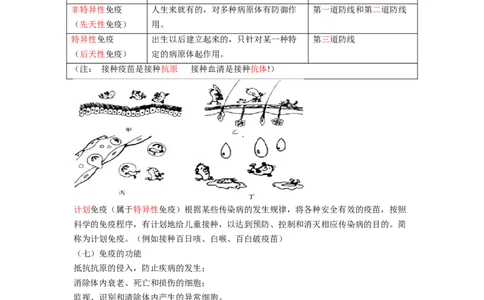 专题09健康的生活（解析版）-2021-2022学年八年级上学期期末复习之重难点突破（人教版）_初中全科电子版试卷练习试题_生物_生物8上练习_人教生物8年级上专项练习23份