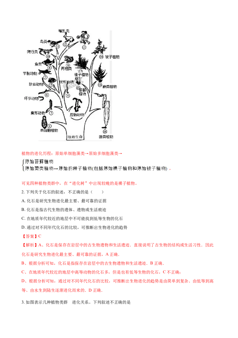 7.3.2生物进化的历程（重点练）-（人教版）（解析版）_初中全科电子版试卷练习试题_生物_生物8下练习_人教生物8年级下课时练习51份