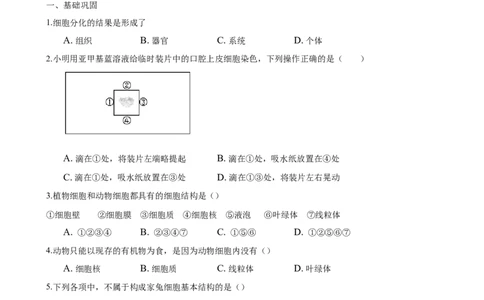 专题2.1.3动物细胞（原卷版）_初中全科电子版试卷练习试题_生物_生物人教版7上练习&mdash;24新版已更新_人教生物7年级上课时练习39份_七年级生物上册课时练习（人教版）18份
