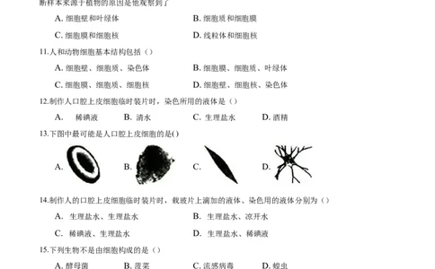 专题2.1.3动物细胞（原卷版）_初中全科电子版试卷练习试题_生物_生物人教版7上练习&mdash;24新版已更新_人教生物7年级上课时练习39份_七年级生物上册课时练习（人教版）18份