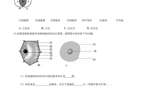 专题2.1.3动物细胞（原卷版）_初中全科电子版试卷练习试题_生物_生物人教版7上练习&mdash;24新版已更新_人教生物7年级上课时练习39份_七年级生物上册课时练习（人教版）18份