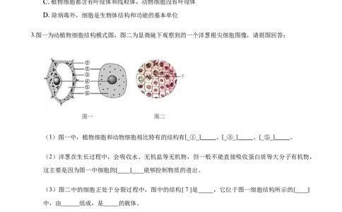 专题2.1.3动物细胞（原卷版）_初中全科电子版试卷练习试题_生物_生物人教版7上练习&mdash;24新版已更新_人教生物7年级上课时练习39份_七年级生物上册课时练习（人教版）18份