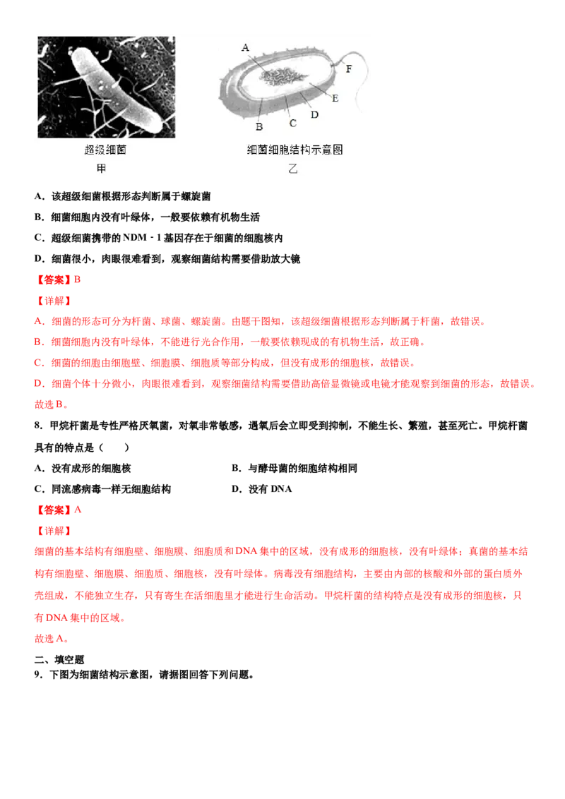 5.4.2细菌（练习）（解析版）_初中全科电子版试卷练习试题_生物_生物8上练习_人教生物8年级上课时练习37份_第1套八年级生物上册课时练习（人教版）16份