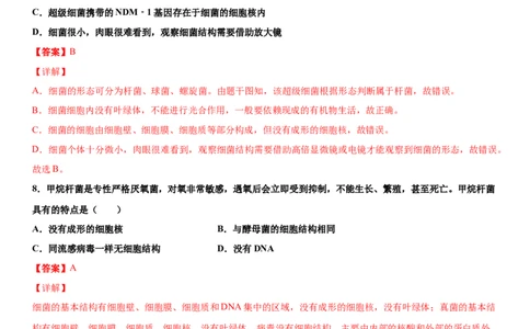 5.4.2细菌（练习）（解析版）_初中全科电子版试卷练习试题_生物_生物8上练习_人教生物8年级上课时练习37份_第1套八年级生物上册课时练习（人教版）16份