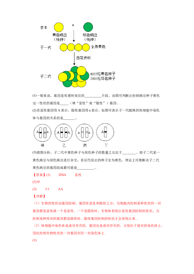 7.2.3基因的显性和隐性（练习）-（人教版）（解析版）_初中全科电子版试卷练习试题_生物_生物8下练习_人教生物8年级下课时练习51份