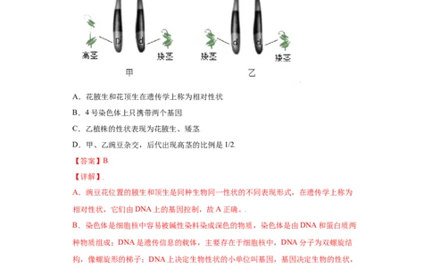 7.2.3基因的显性和隐性（练习）-（人教版）（解析版）_初中全科电子版试卷练习试题_生物_生物8下练习_人教生物8年级下课时练习51份