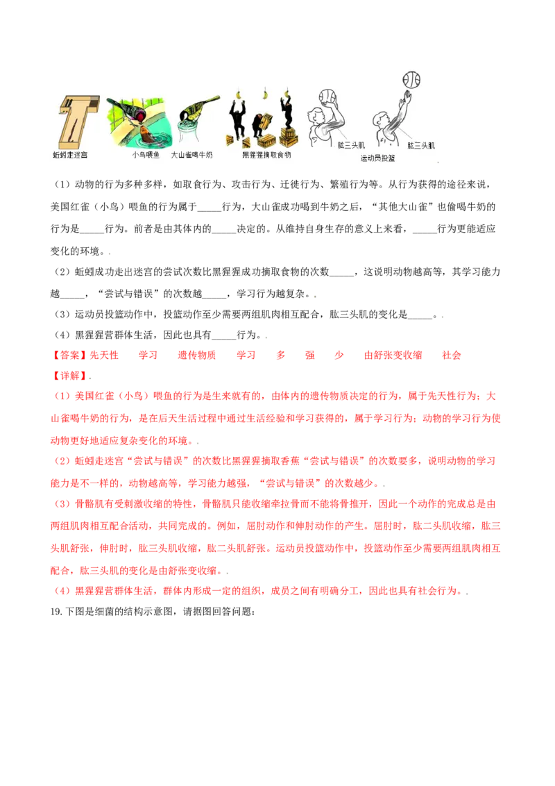专题08图像分析-（人教版）（解析版）_初中全科电子版试卷练习试题_生物_生物8上练习_人教生物8年级上专项练习23份_第1套八年级生物上册专项（人教版）09份
