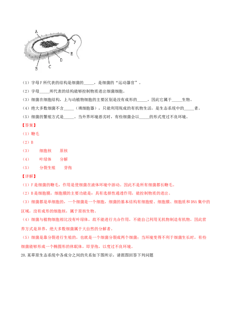 专题08图像分析-（人教版）（解析版）_初中全科电子版试卷练习试题_生物_生物8上练习_人教生物8年级上专项练习23份_第1套八年级生物上册专项（人教版）09份