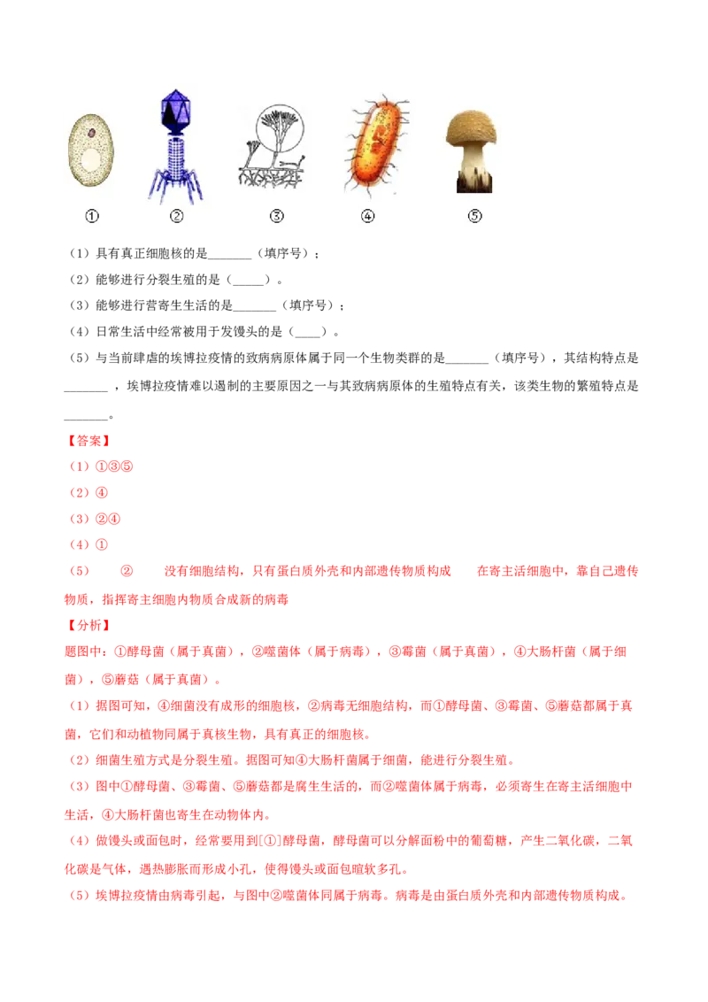 专题08图像分析-（人教版）（解析版）_初中全科电子版试卷练习试题_生物_生物8上练习_人教生物8年级上专项练习23份_第1套八年级生物上册专项（人教版）09份
