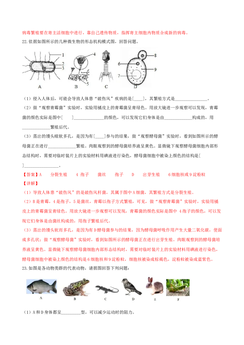 专题08图像分析-（人教版）（解析版）_初中全科电子版试卷练习试题_生物_生物8上练习_人教生物8年级上专项练习23份_第1套八年级生物上册专项（人教版）09份