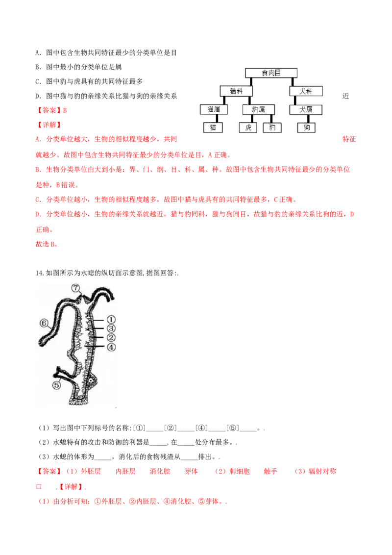 专题08图像分析-（人教版）（解析版）_初中全科电子版试卷练习试题_生物_生物8上练习_人教生物8年级上专项练习23份_第1套八年级生物上册专项（人教版）09份