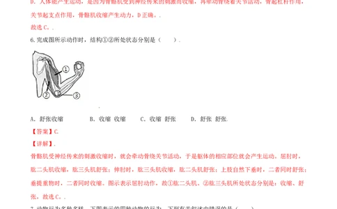 专题08图像分析-（人教版）（解析版）_初中全科电子版试卷练习试题_生物_生物8上练习_人教生物8年级上专项练习23份_第1套八年级生物上册专项（人教版）09份