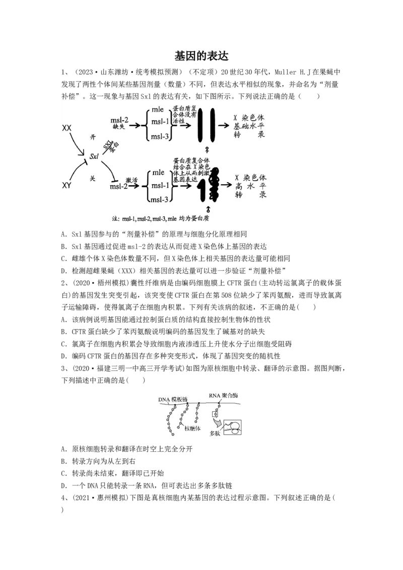专题19基因的表达（精练）（原卷版）_新高考复习资料_2024年新高考复习资料_一轮复习资料_完备战2024年高考生物一轮复习串讲精练（新高考专用）_精练